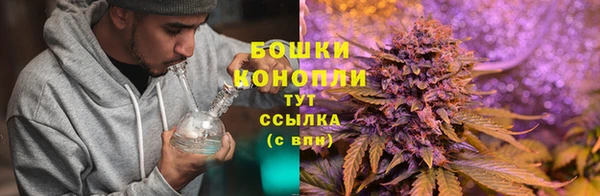 спиды Нея
