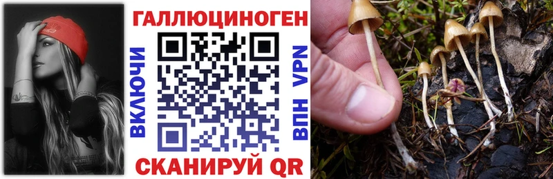 Псилоцибиновые грибы мухоморы  omg ссылка  Сусуман 